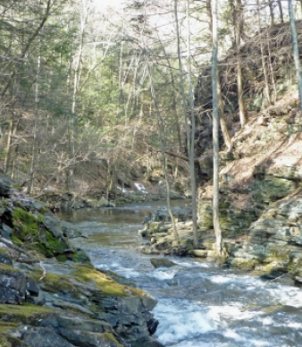 Tankerhoosen Valley - Vernon's Green Valley